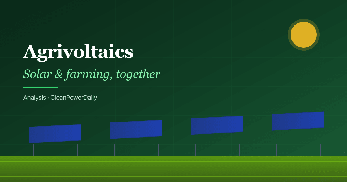 The Rise of Agrivoltaics: How Farming Under Solar Panels Is Reshaping American Agriculture